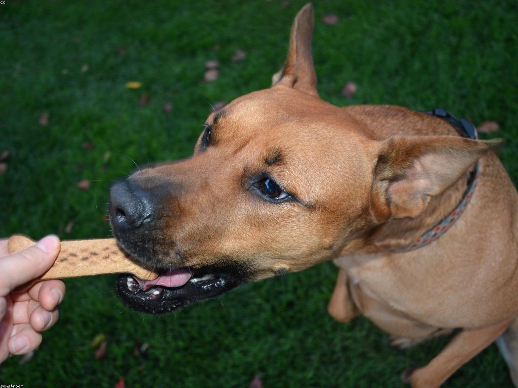 យុទ្ធសាស្ត្ររករង្វាន់: ផ្លូវដើម្បីភាពជោគជ័យ