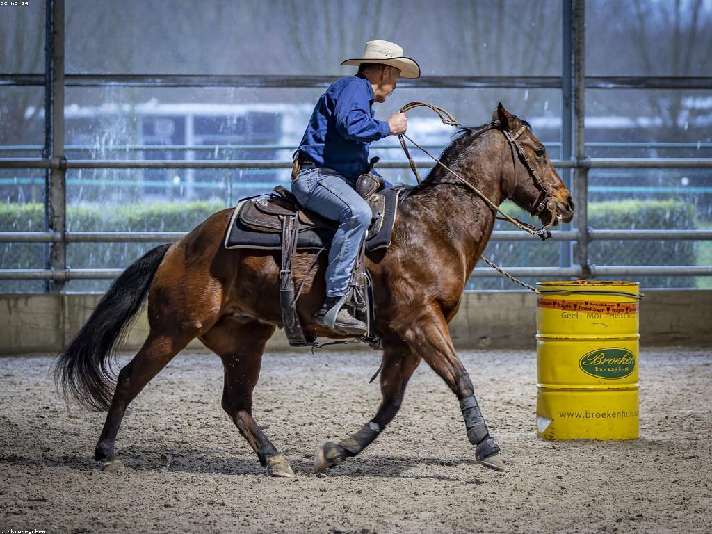 ប្រវត្តិការប្រកួតកម្រិតពិភពលោក៖ ការបង្កើតនៃការប្រកួតអនាគត