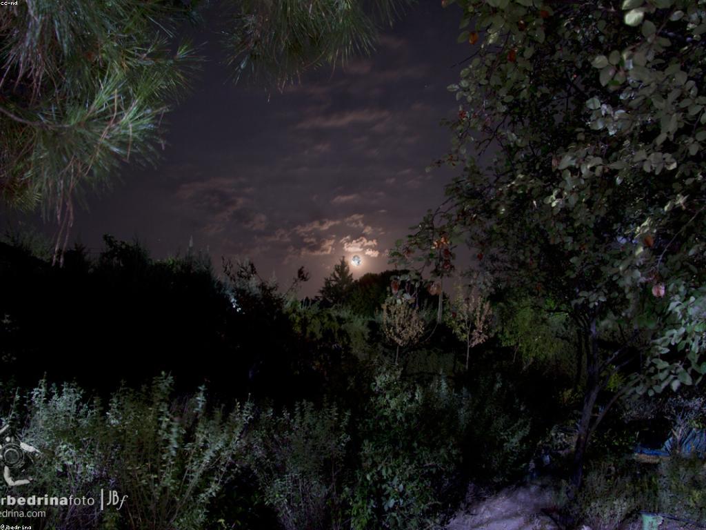 សេចក្ដីថ្លែងការណ៍ឈ្នះ៖ វិធីសាស្រ្ត និង ដំណើរការ