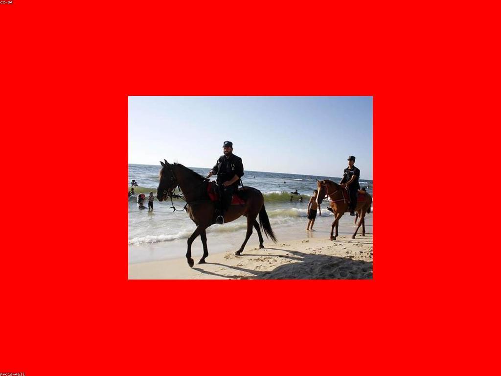 គន្លងនិងយុទ្ធសាស្ត្រដើម្បីឈ្នះក្នុងការប្រកួត